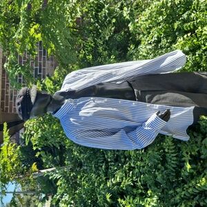 Executive Collection Hand Tailored Luxury Striped Shirt by Tom James